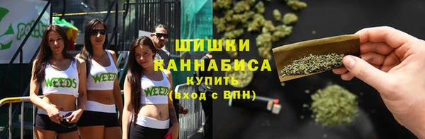 спиды Арсеньев