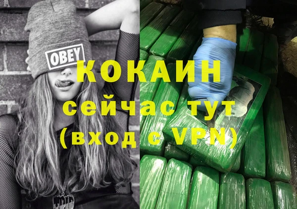 гашик Аркадак