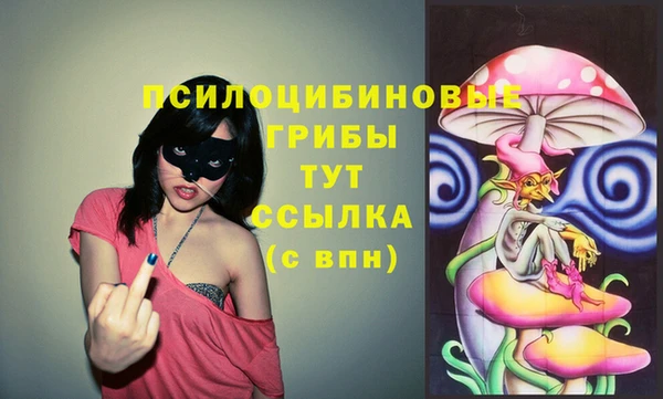 кокс Армянск
