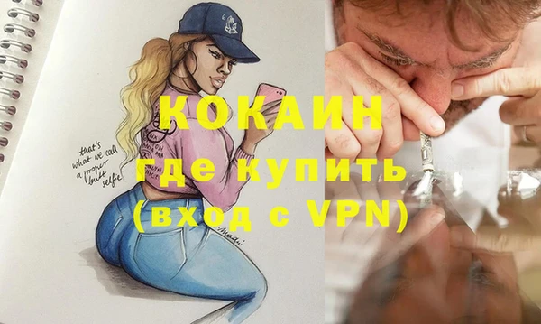 гашик Аркадак