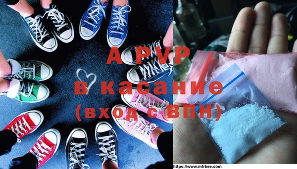 гашик Аркадак